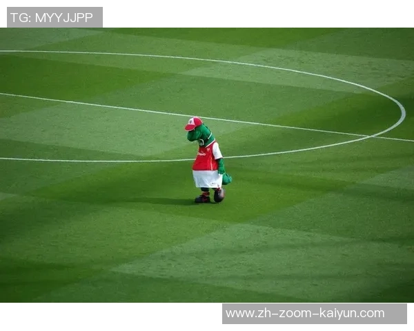 足球的服务如何提升球迷体验与赛事观赏价值的全面探讨